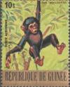 Colnect-1975-614-Chimpanzee-Pan-troglodytes.jpg