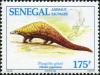 Colnect-2189-091-Giant-Pangolin-Manis-gigantea.jpg