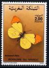 Colnect-2461-135-Moroccan-Orange-Tip-Anthocharis-belia.jpg