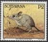 Colnect-2857-083-Bushveld-Elephant-Shrew-Elephantulus-intufi.jpg