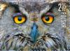 Colnect-2961-698-Eurasian-Eagle-Owl-Bubo-bubo.jpg