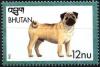 Colnect-3392-490-Pug-Canis-lupus-familiaris.jpg