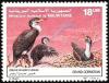 Colnect-3570-132-Great-Cormorant%C2%A0-%C2%A0Phalacrocorax-carbo.jpg