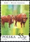 Colnect-3808-705-European-Bison-Bison-bonasus.jpg