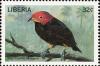 Colnect-3811-679-Red-capped-Manakin-Ceratopipra-mentalis.jpg