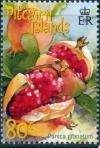 Colnect-3979-831-Pomegranate-Punica-granatum.jpg