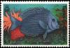 Colnect-3993-002-Acanthurus-Coeruleus.jpg