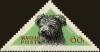 Colnect-4480-644-Pumi-Canis-lupus-familiaris.jpg