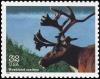 Colnect-5106-736-Caribou-Rangifer-tarandus-caribou.jpg