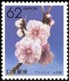 Colnect-519-707-Japanese-Apricot-Oita.jpg