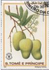 Colnect-938-195-Mangifera-indica.jpg