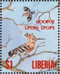 Colnect-1641-781-Eurasian-Hoopoe-Upupa-epops.jpg