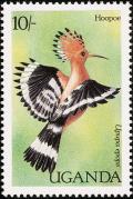 Colnect-1712-377-Eurasian-Hoopoe-Upupa-epops.jpg