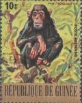 Colnect-1975-612-Chimpanzee-Pan-troglodytes.jpg