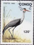 Colnect-1978-901-Wattled-Crane-Bugeranus-carunculatus.jpg