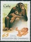 Colnect-2245-839-Chimpanzee-Pan-troglodytes-and-new-Born-.jpg