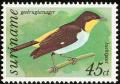 Colnect-2315-498-Yellow-backed-Tanager-Hemithraupis-flavicollis.jpg