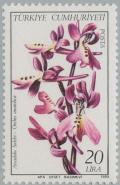 Colnect-2588-078-Anatolian-Orchid.jpg