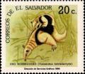 Colnect-2680-239-Southern-tamandua-Tamandua-tetradactyla.jpg