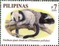 Colnect-2874-577-Northern-Luzon-Giant-Cloud-Rat-Phloeomys-pallidus.jpg