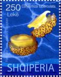 Colnect-3088-249-Fried-egg-Mediterranean-Jellyfish-Cotylorhiza-tuberculata.jpg