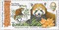 Colnect-3434-676-Red-Panda-Ailurus-fulgens.jpg