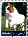 Colnect-3438-321-Elo-Canis-lupus-familiaris.jpg