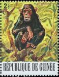 Colnect-3459-142-Chimpanzee-Pan-troglodytes.jpg