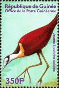 Colnect-3813-940-African-Jacana-Actophilornis-africanus.jpg