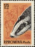 Colnect-4945-297-European-Badger-Meles-meles.jpg