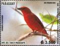 Colnect-5987-254-Red-Tanager-Piranga-flava.jpg