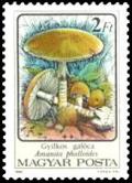 Colnect-941-829-Amanita-phalloides.jpg