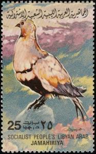 Colnect-1648-461-Black-bellied-Sandgrouse%C2%A0Pterocles-orientalis.jpg