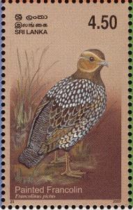 Colnect-2543-526-Painted-Francolin-Francolinus-pictus.jpg