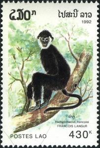 Colnect-2550-035-Francois-Langur-Presbytis-francoisi-.jpg