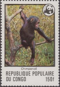 Colnect-1465-769-Chimpanzee-Pan-troglodytes.jpg