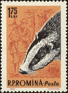 Colnect-4945-297-European-Badger-Meles-meles.jpg