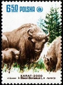 Colnect-1997-634-European-Bison-Bison-bonasus.jpg