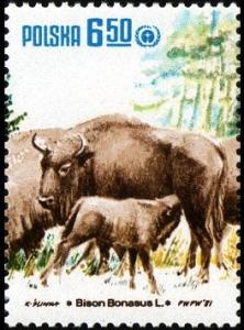 Colnect-1997-635-European-Bison-Bison-bonasus.jpg