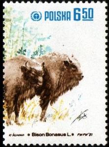 Colnect-1997-636-European-Bison-Bison-bonasus.jpg