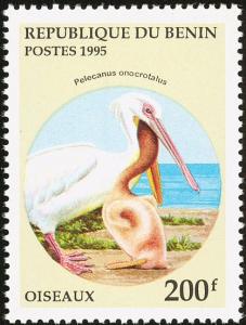 Colnect-591-245-Rosy-Pelican-Pelecanus-onocrotalus.jpg