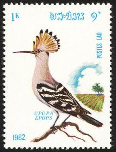 Colnect-1613-019-Eurasian-Hoopoe-Upupa-epops.jpg