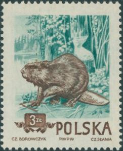 Colnect-4227-059-Eurasian-Beaver-Castor-fiber.jpg