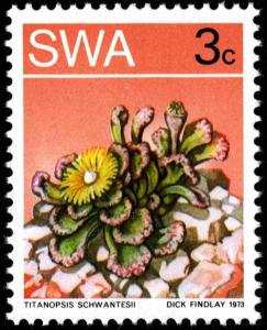 Colnect-5207-303-Titanopsis-schwantesli.jpg