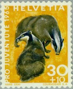 Colnect-140-282-European-Badger-Meles-meles.jpg