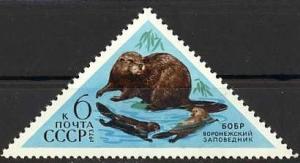 Colnect-1016-929-Eurasian-Beaver-Castor-fiber.jpg