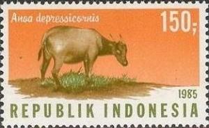 Colnect-1103-365-Lowland-Anoa-Anoa-depressicornis.jpg