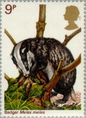 Colnect-122-067-European-Badger-Meles-meles.jpg