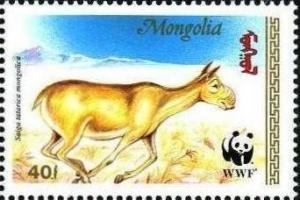 Colnect-1261-427-Mongolian-Saiga-Saiga-tatarica.jpg