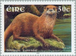 Colnect-129-946-Eurasian-Otter-Lutra-lutra.jpg